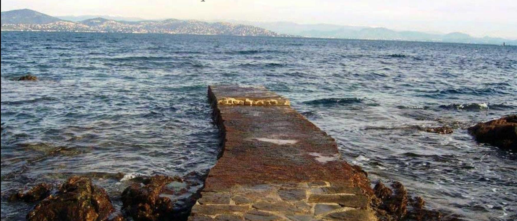 Villa Marine photo 4